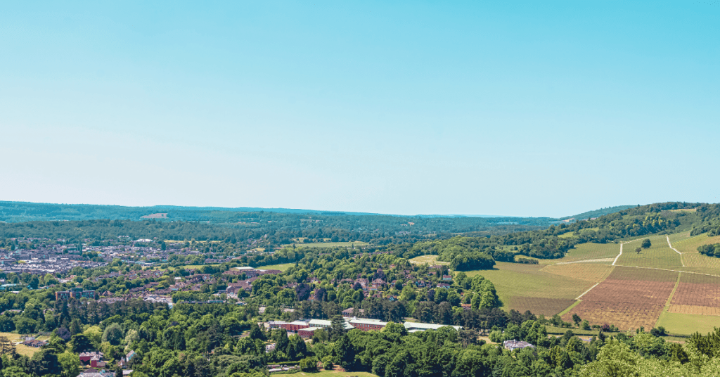Embark on a culinary adventure through the enchanting landscapes of Surrey, England, where each meal is an exquisite journey through the county's rich gastronomic scene. Discover the best dining spots, from traditional British flavors to global gastronomy, nestled amidst the picturesque villages and lush countryside. Join us as we unveil the hidden gems and culinary triumphs that make Surrey a true foodie's delight.