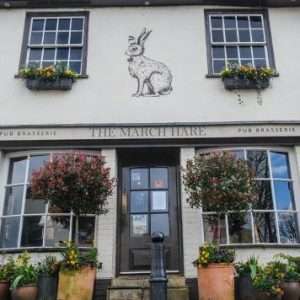 March Hare