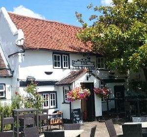 The Cricketers